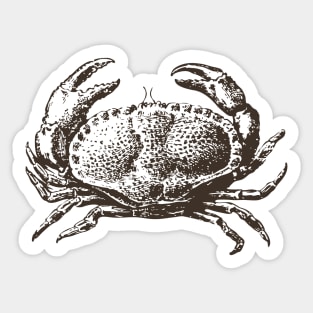 Crab - Vintage Small Crab Sticker